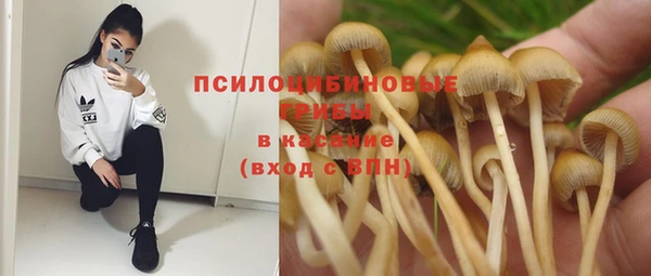 винт Инсар